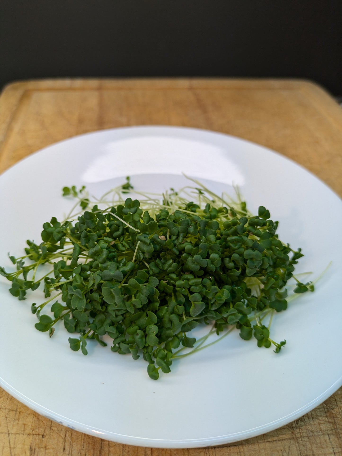 Wasabi Mustard Microgreens