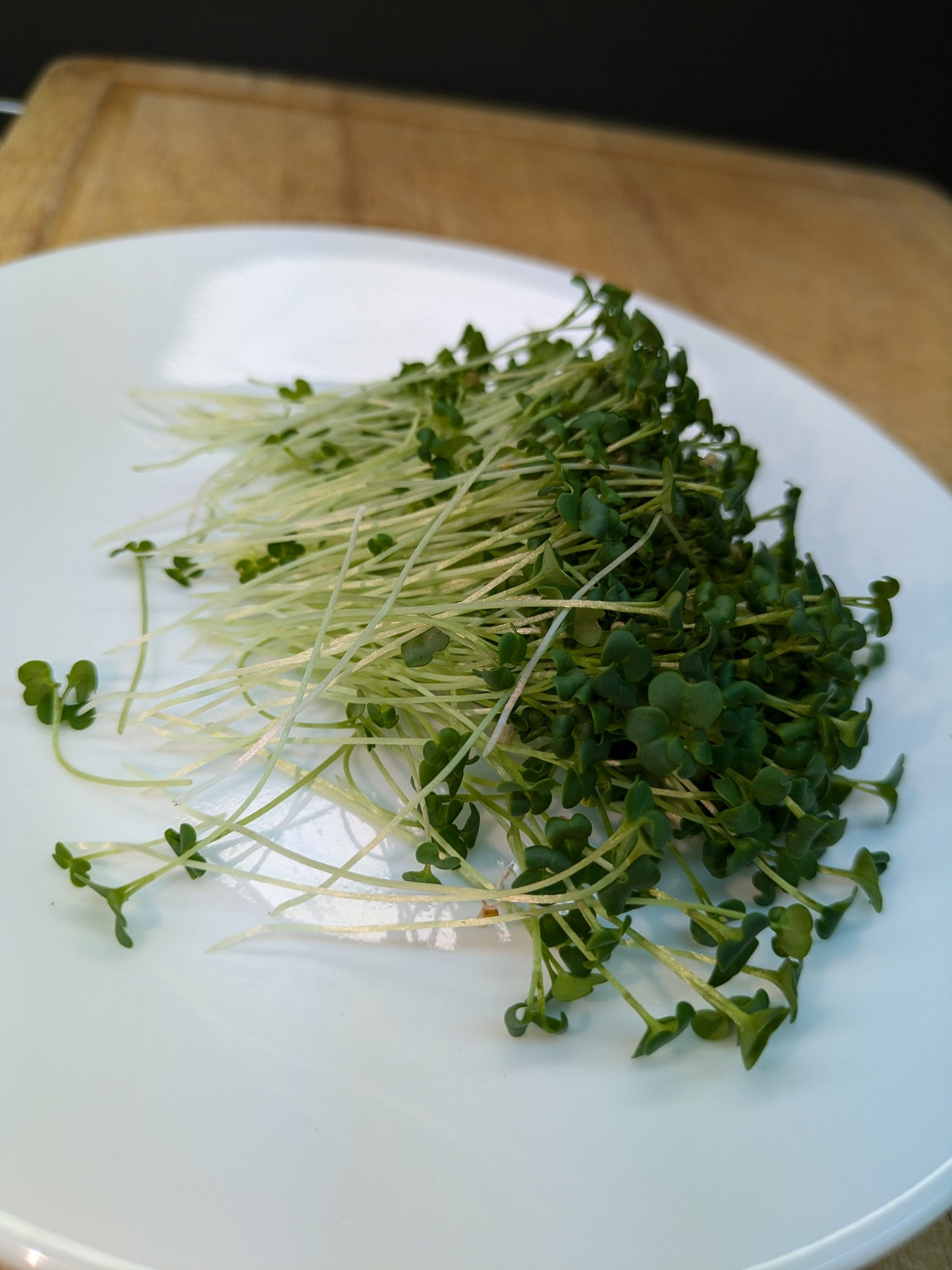 Wasabi Mustard Microgreens