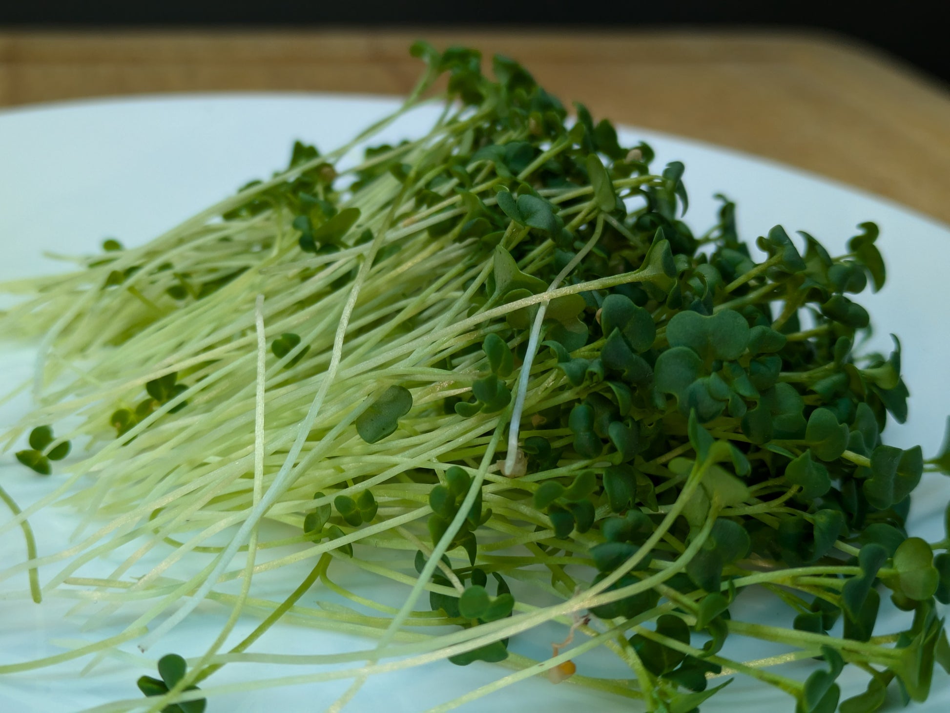 Broccoli Raab Microgreens with stems