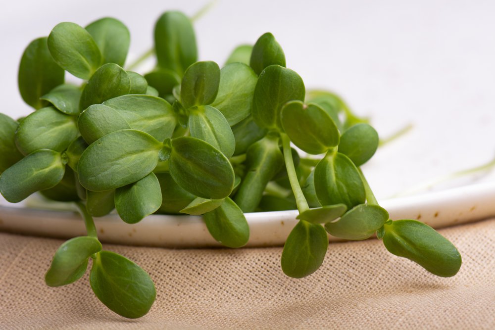 Pick 2 or more Microgreens